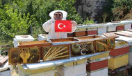 Amasya’da arıların seçimi sonuçlandı