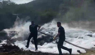Anız Yangını: Traktör ve Patoz Alevlere Teslim Oldu