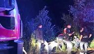 Otomobil Virajı Alamayıp Yoldan Çıktı: 1 Yaralı