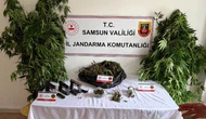 Uyuşturucu Operasyonu: 1 Kişi Tutuklandı