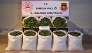 Jandarmadan Uyuşturucu Operasyonu! 63 Kilogram Esrar Ele Geçirildi