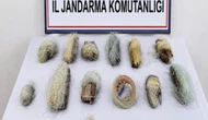 Kaçak Ağlara Jandarma Darbesi!