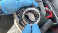 Fotoğraf Makinesinden Uyuşturucu Çıktı: 2 Gözaltı