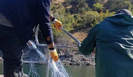 Kaçak Avcılığa Darbe! 600 Metrelik Ağ Ele Geçirildi
