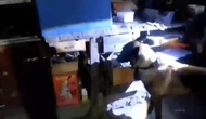 Eş Zamanlı Silah Operasyonu: 11 Gözaltı!