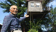 90 Yıllık Meşe Ağacına Ev Yaptı!