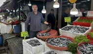Hamsi 100 liradan alıcı buldu