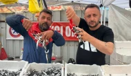 Hamsinin fiyatı 70 liraya indi, tezgahlar şenlendi