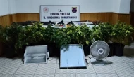 Köy evinde çadır kurup skunk yetiştiren şahsa operasyon