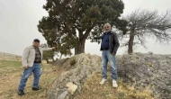 Köy halkı 508 yaşındaki ardıç ağacının tescilini istiyor