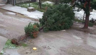 Fırtına ağaç devirdi, yol trafiğe kapandı