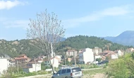 Otomobil ağaca çarptı: 2 yaralı