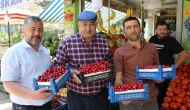 Amasya’da 60 yıldır yarışması yapılıyordu, şimdi bir tane bile kiraz yok