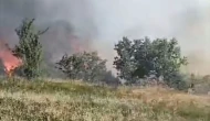 Orman yangını: 5 hektarlık alan küle döndü