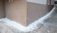 Mahalleyi böcekler bastı, vatandaşlar tedirgin oldu