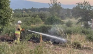 Yol kenarına atılan izmarit, otları yaktı