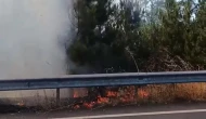 Düğün konvoyundaki meşale çamlık alanı yaktı
