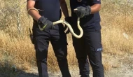 Fabrikada yılan paniği