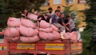 Tıka basa çay dolu kamyonun kasasında tehlikeli yolculuk