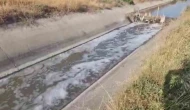 Amasya’da sulama kanalı kirlilikten köpürdü, balık ölümleri görülmeye başladı