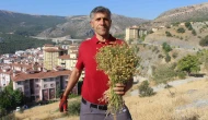 Dağ yamaçlarından topluyor, buketini 100 TL’den satıyor