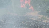 Çobanın yaktığı ateş yangına sebep oldu