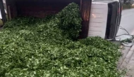 Kaza sonrası yola saçılan kamyon kasasındaki 10 ton çayı böyle temizlediler