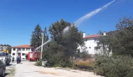 Kopan elektrik telleri yangın çıkarttı
