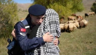 Kaybolan 13 koyun jandarma ekiplerince dağda bulundu