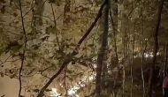 Orman yangını söndürüldü