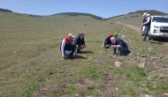 Amasya’nın mera ve yaylalarında otlatma kapasitesi incelemesi