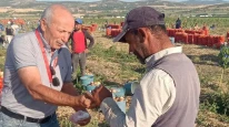 Mevsimlik Tarım İşçilerine Yerinde Sağlık Hizmeti