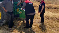 Merzifon'da Biçerdöver Denetimleri Aralıksız Sürüyor!