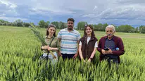 Merzifon’da Tarım Arazileri Yerinde İncelendi