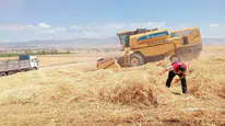 Merzifon'da Biçerdöver Denetimleri Sürüyor