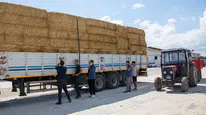 Amasya DSYB’den Üreticiye Yem Güvencesi!