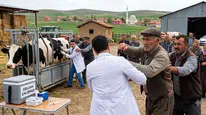 Çorum'da Hayvan Aşılama Ekibine Çirkin Saldırı!