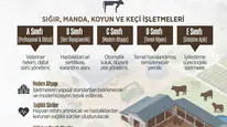 Merzifon’da Hayvancılıkta Yeni Dönem!