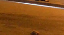 Cadde Ortasında Sopalı Kavga: 1 Yaralı
