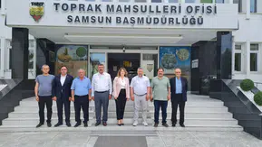 Amasya'da Hububat Hasadı Öncesi Kritik Toplantı!