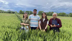 Merzifon’da Tarım Arazileri Yerinde İncelendi