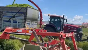 Amasya’da Silaj Çalışmaları Hız Kazandı