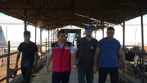 Amasya’da Hayvancılığa Sıkı Takip!