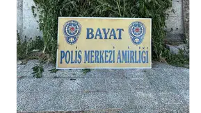 Çorum’da 46 kök Hint keneviri ele geçirildi: 1 tutuklama