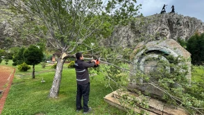 Amasya Belediyesi'nden Yeşil ve Temiz Bir Kent İçin Yoğun Çalışma