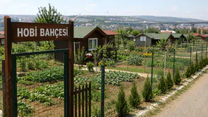 Hobi Bahçesi Dönemi Bitiyor! Yeni Yasak Resmen Yürürlükte