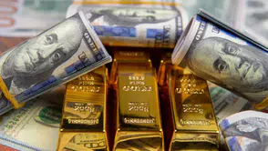 10 Ağustos 202; Altın Uçuşta, Dolar ve Euro Yükselişte!