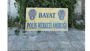 Çorum’da 46 kök Hint keneviri ele geçirildi: 1 tutuklama
