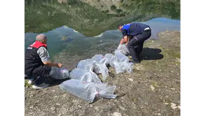 Amasya Göletlerine 200 Bin Sazan Yavrusu