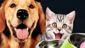 HAYVAN MAMSI VE KEDİ KUMU ALIM İHALESİ